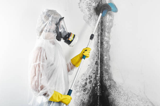 Best Mold-Related Health Consultation  in Fifth Street, TX