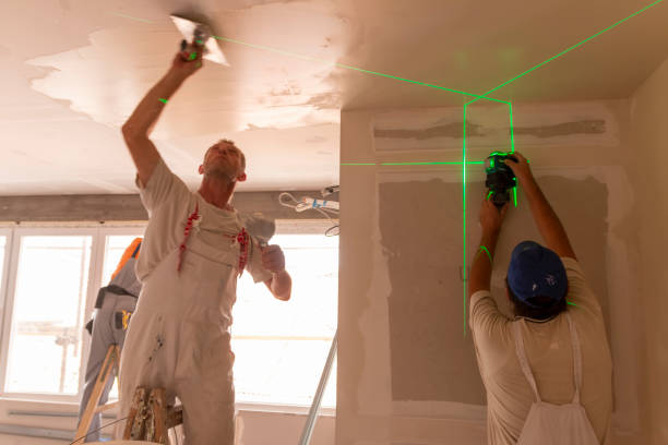 Mold Odor Removal Services in Fifth Street, TX