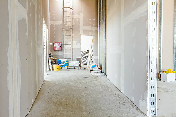 Best Black Mold Removal  in Fifth Street, TX
